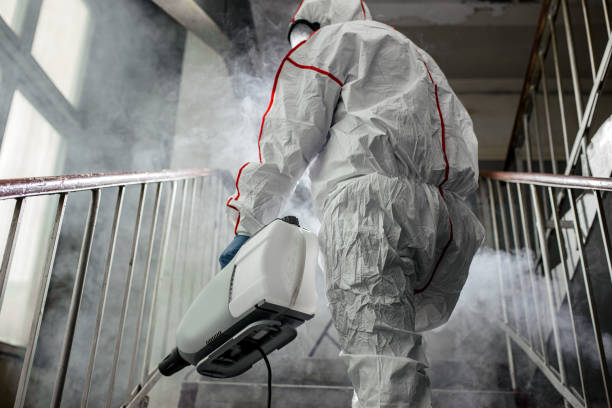 Best Comprehensive Air Testing for Mold Contaminants  in Pocono Ranch Lands, PA